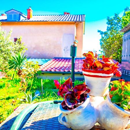 Vacation Home Grill & Chill With 350M2 Garden With Bbq Novi Vinodolski Exterior photo